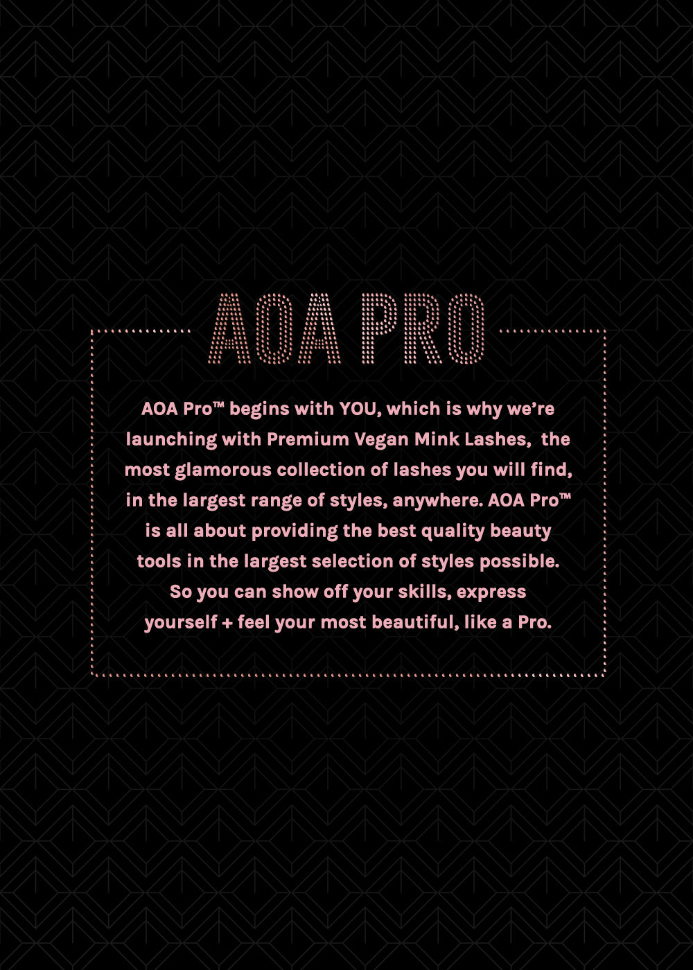 AOA Pro Magnetic Eyeshadow Palette - Black Large
