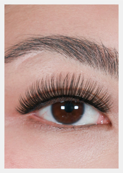 D-LUX Curl Premium Faux Mink Lashes - Sophia