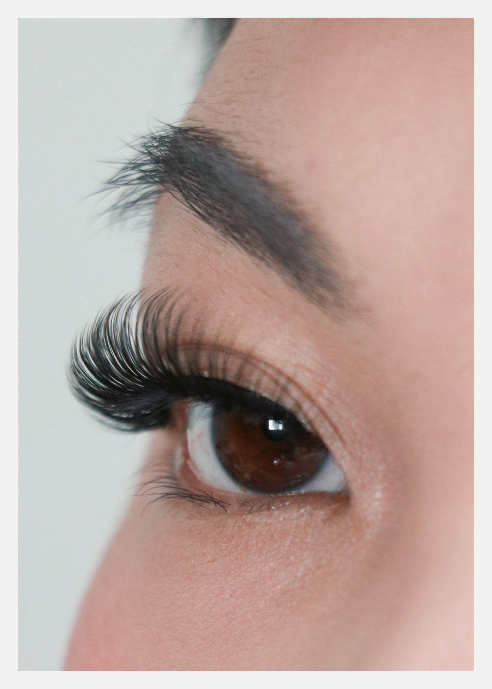 D-LUX Curl Premium Faux Mink Lashes - Sophia