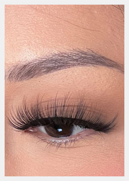 D-LUX Curl Premium Faux Mink Lashes - Lana