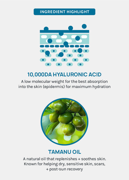 AOA Skin 10,000da Hyaluronic Acid + Tamanu Oil Sheet Mask