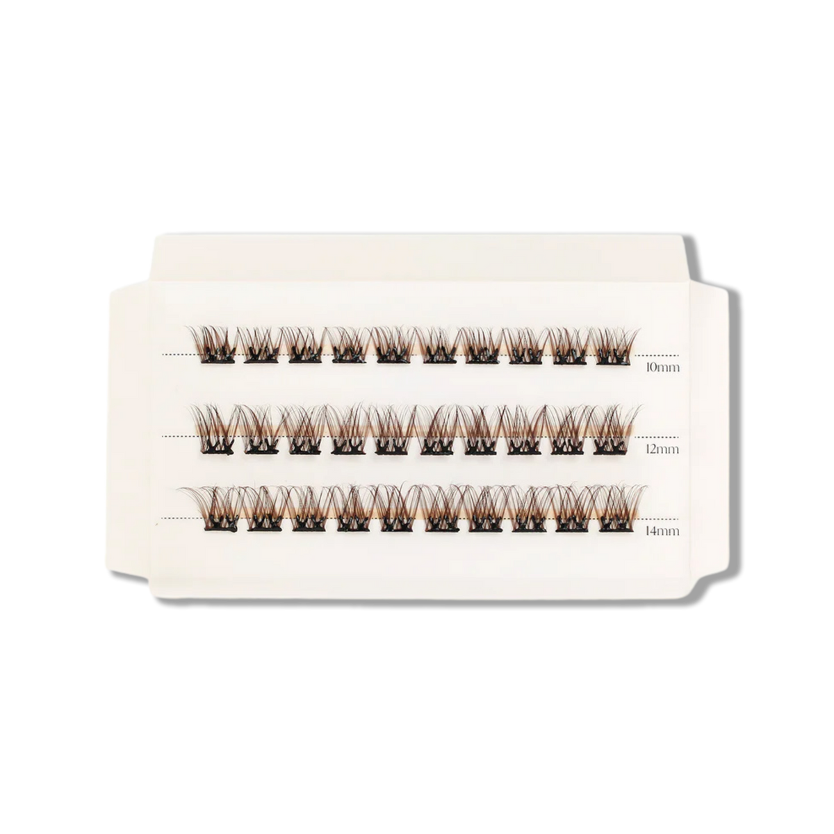 C & D Beauty - Hazel Press & Go Refill