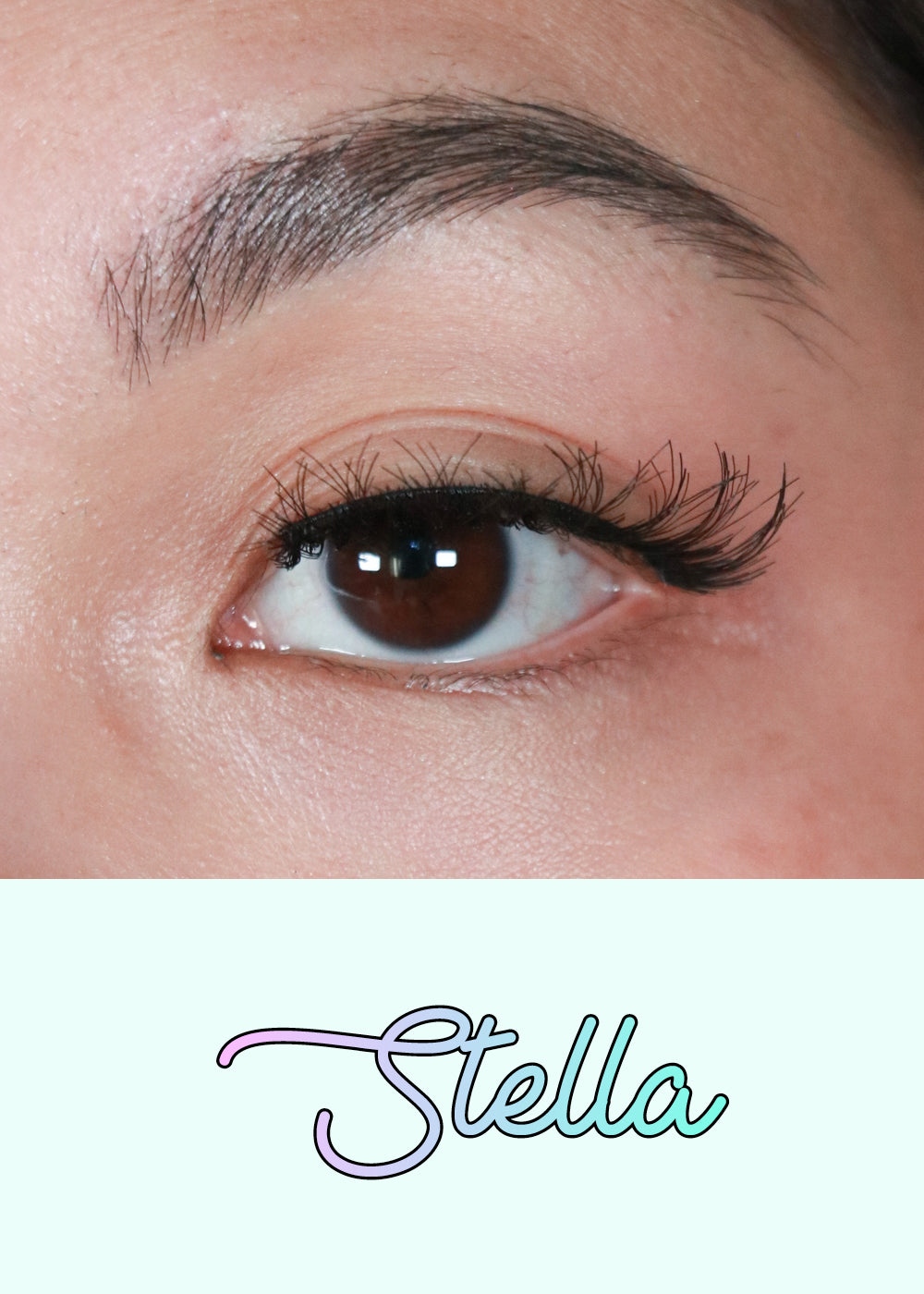 AOA Studio Eyelashes - Stella
