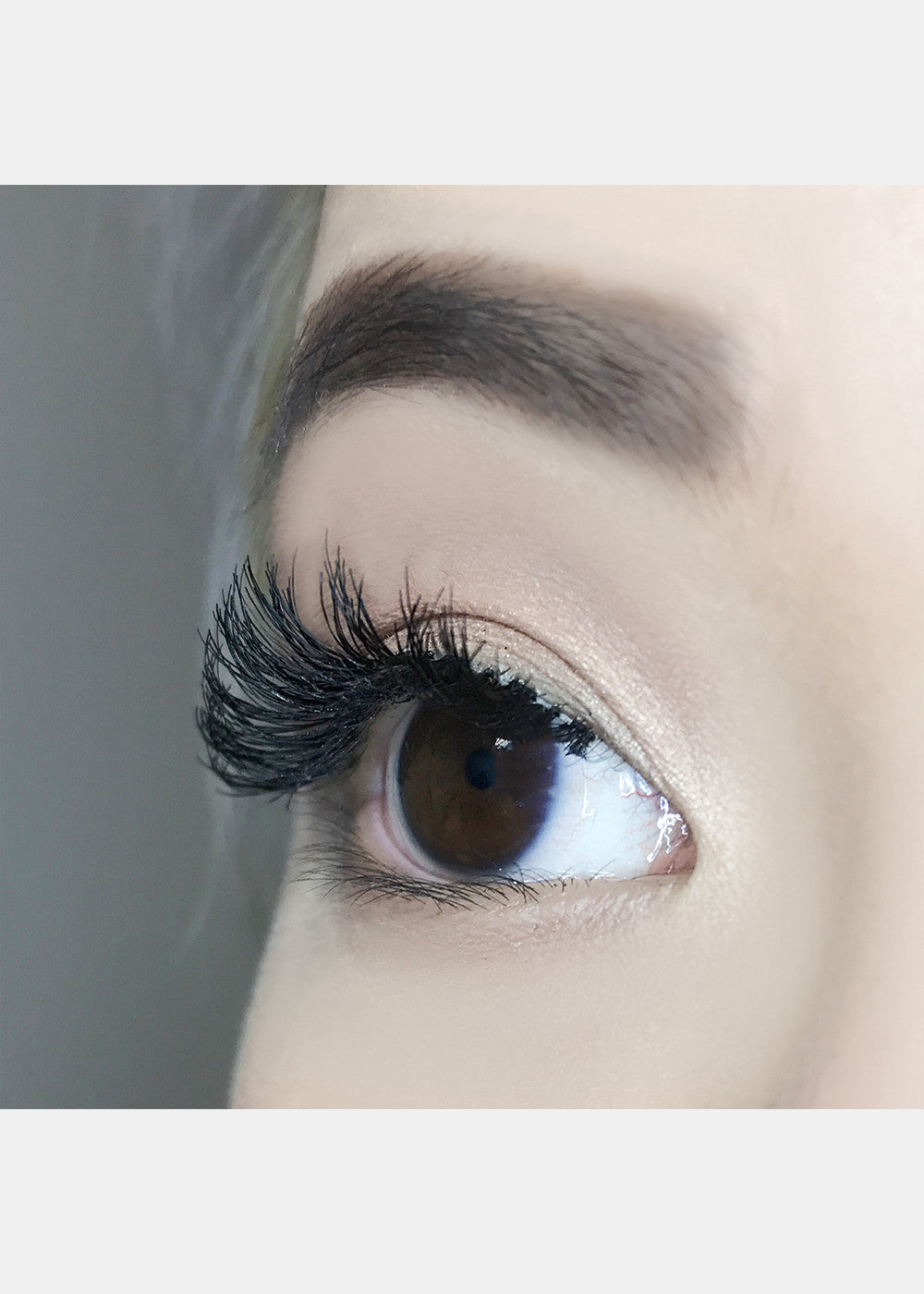 AOA Studio Eyelashes - Scarlette