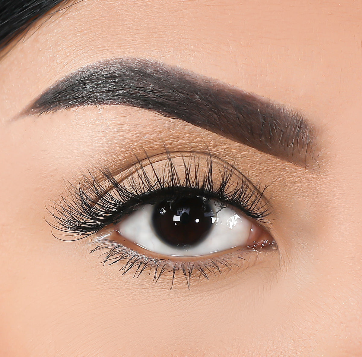 Lurella Cosmetics - 3D Mink Eyelashes - Shelby